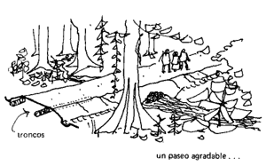 CaminoBosque