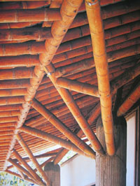 Bamboo Trusses